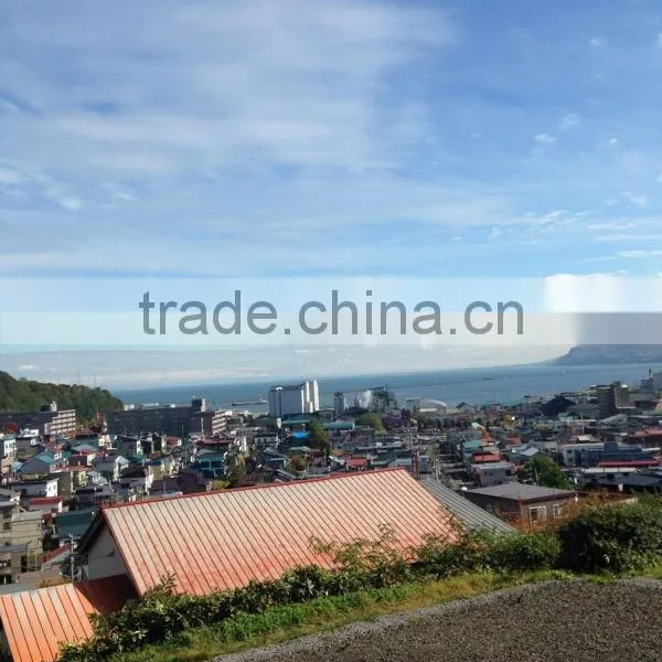 Land for Sale in Otaru, Hokkaido, Japan photo-2