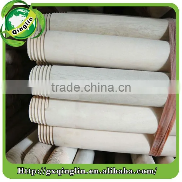 Eucalyptus Broomstick photo-6