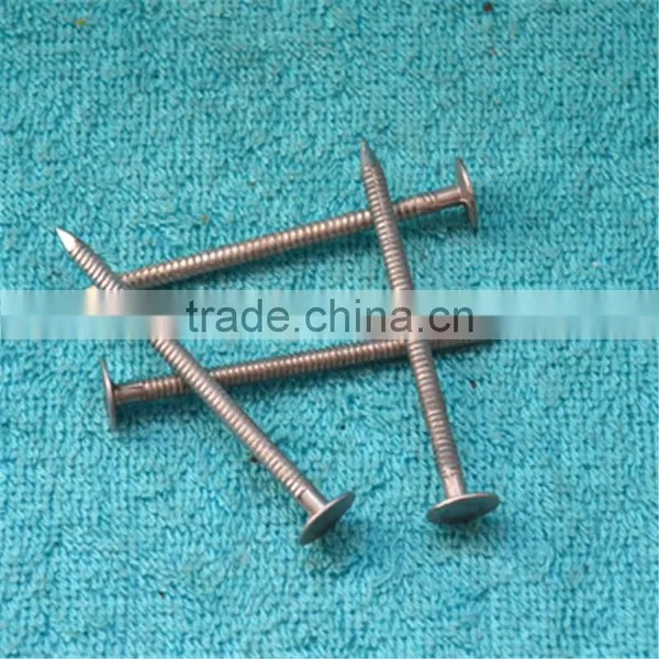 2017 Aluminum Ring Shank Nails Hot Sale photo-3