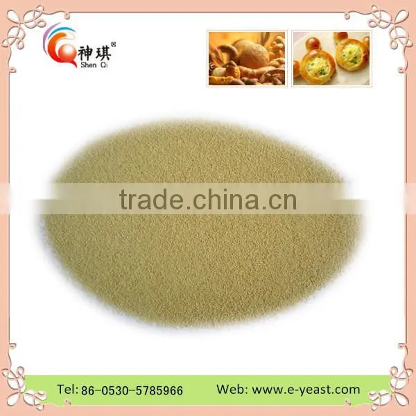 Esteemed Yeast Factory of Low Sugar and High Sugar Swelling Instant Dry Yeast China Supplier photo-5