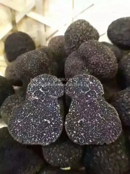 Factory Price Premium Quality Chinese Wild Fresh Black Truffle Mushroom Whole (3-5CM) photo-3