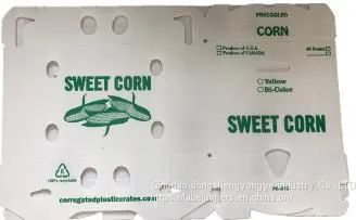 Plastic pp Corrugated Corn Box photo-2