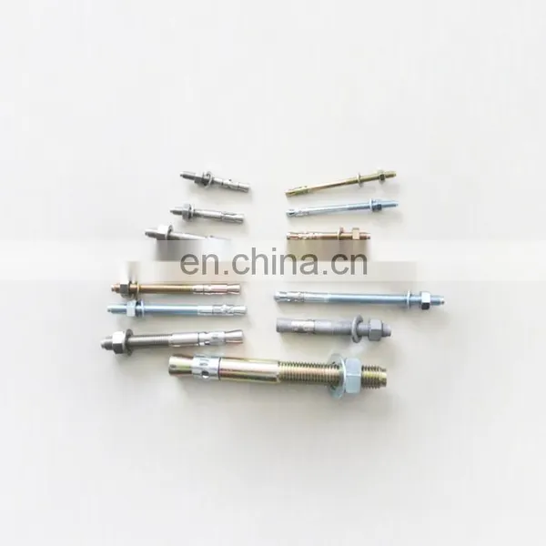Stainless Steel Anchor Wedge Anchor Bolt and Expansion Anchor Bolt M12 photo-2