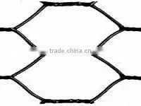 Electro and Hot-dip Galvanized Chicken Mesh, Hexagonal Twisted Mesh photo-4