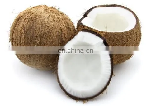 Coconut Water Processing Machine/coconut Juice Machine/coconut Milk Press photo-3