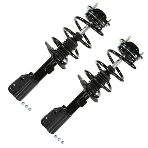 Shock Absorber Struts for Buick photo-4