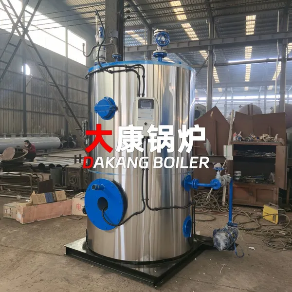 Yinchen Small Gas Steam Boiler Mini Portable Natural Gas Boiler for Small Factory & Hotel photo-4