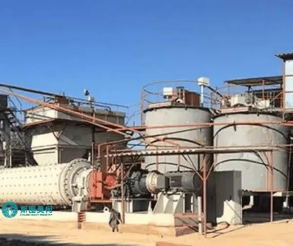 Gold Cip Plant for Bolivia Mine photo-5