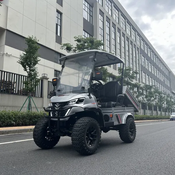 2 Seater Luxury Off Road Electric Golf Cart With Cargo Box Storage Basket for Sale