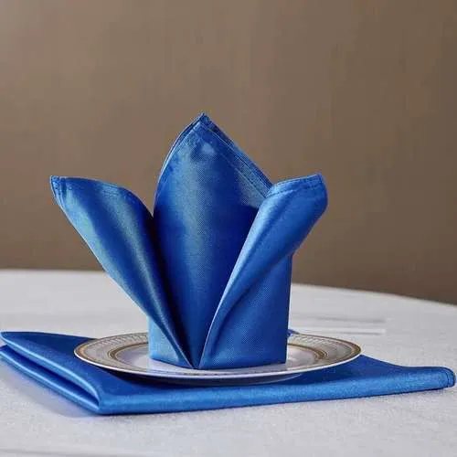 Cloth Napkin Supplier photo-2