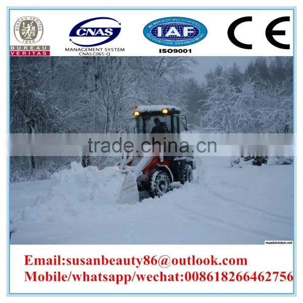 China Express Small Payloader for Sale photo-5