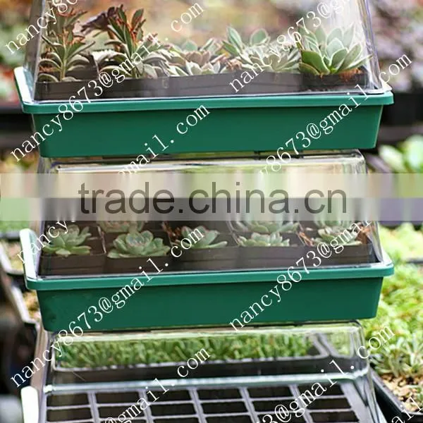 Hydroponic Trays photo-6