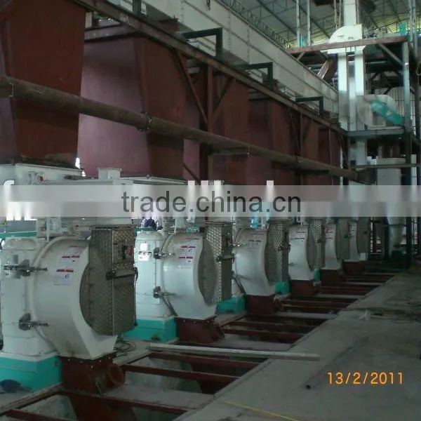 Wood Pellet Line Machine photo-2