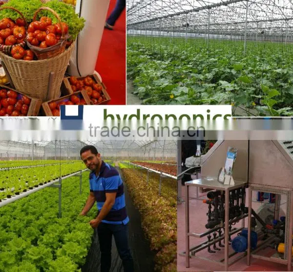 Irrigation Equipment and Hydroponic Systems for Agriculture Production