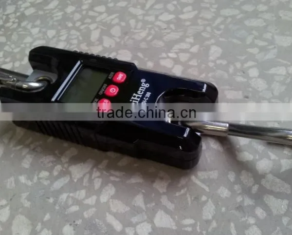 300kg*100g Weiheng Digital Crane Scale Cheap photo-5