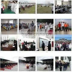 Hary Industry Group Limited company overview - view 3