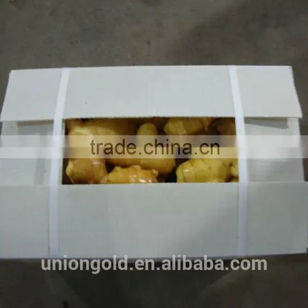 Chinese Fresh Ginger photo-3