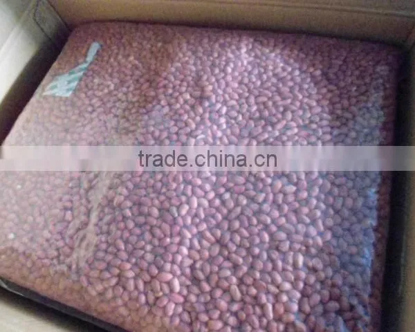 Raw Peanut Kernel for Sale photo-4