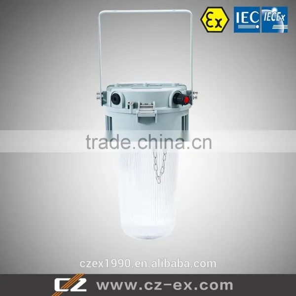 Hot Sale Good Quality IP66 Weather Proof Light Fittings photo-4