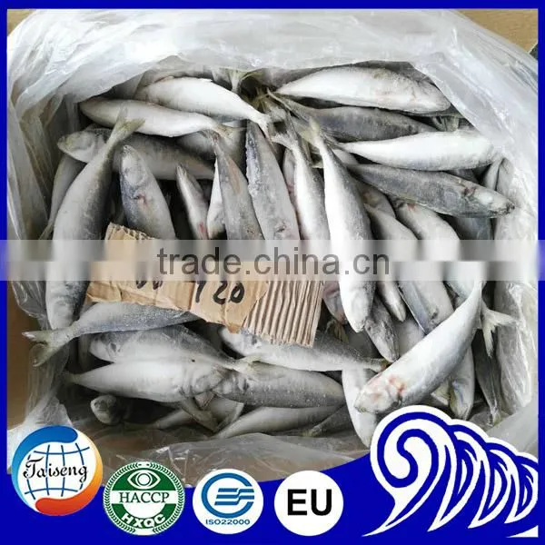 Top Quality Iqf Round Scad Fish Products For Marketing photo-2