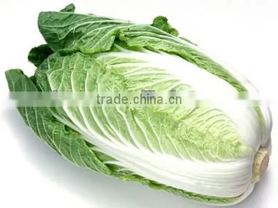 cabbage