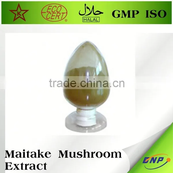 Best Business Buy Maitake Mushroom Powder photo-2