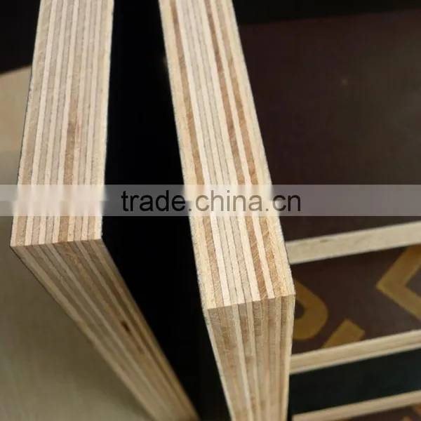 Factory-directly Sales Film Faced Plywood Commercial Plywood photo-3