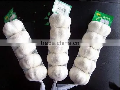 2016 New Fresh White Garlic at Cheap Price photo-2