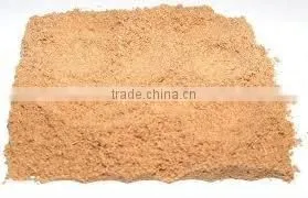Galangal Powder