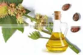 High Quality Refined Castor Oil photo-6