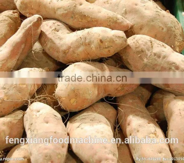 New Condition FC-307 Fresh Sweet Potato Grinding Machine photo-4