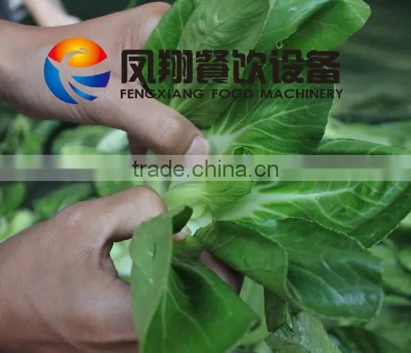 Automatic Small Size 220V Hotel Vegetable and Fruit Washing Machine With Good Price photo-5