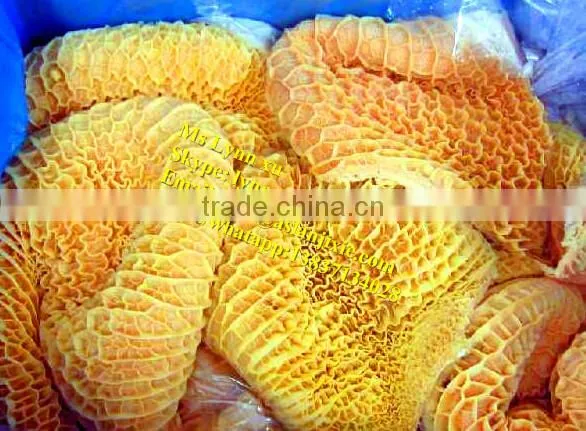 Cow Tripe Washing Machine/OX Tripe Washing Machine photo-6
