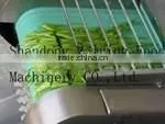 Automatic Commercial Industrial High Efficiency Vegetable Cutting Machine photo-5