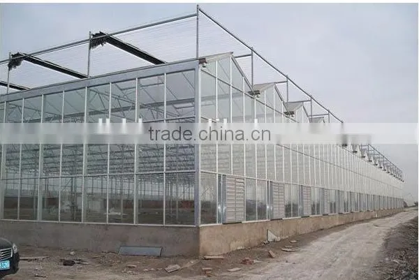 Multi-span Glass Tunnel Greenhouse photo-4