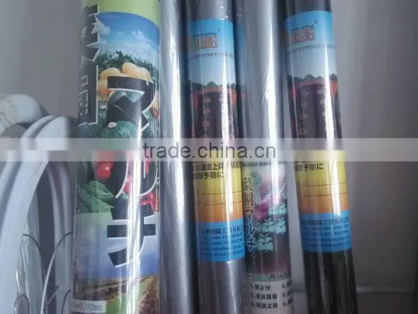 Small Roll PE Plastic Biodegradable Film on Sale photo-3