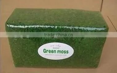 SJ1401101 Guangzhou Shengjie Wholesale Decorative Artificial Moss Product photo-6