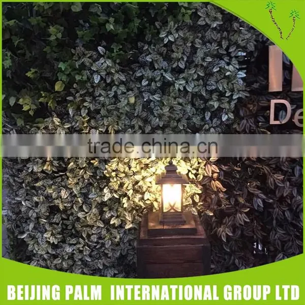 Custom Made Artificial Hot Selling Green Wall Decorative Artificial Plant photo-5