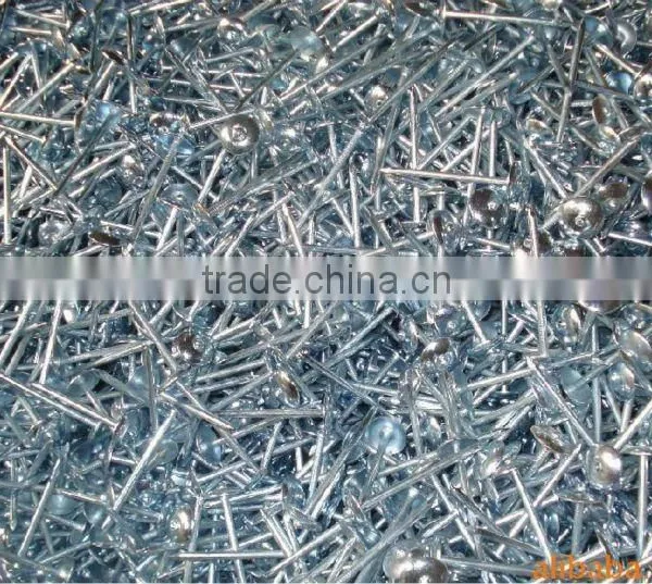 Nails Roofing Nails