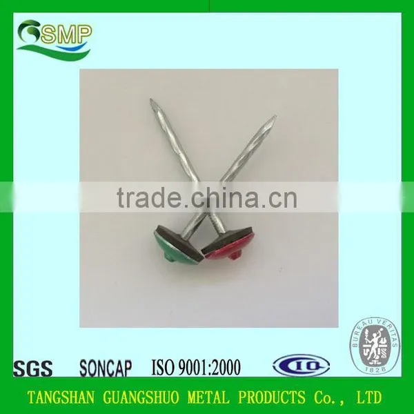 Common Nails/Concrete Steel Nail/Roofing Nail China Manufacturer photo-4