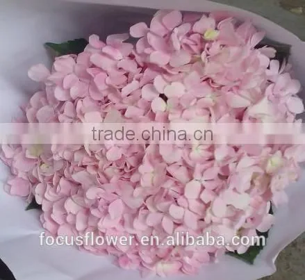 Factory Price Wholesale Real Cut Fresh Hydrangea Flower Bouquet From Yunnan photo-4
