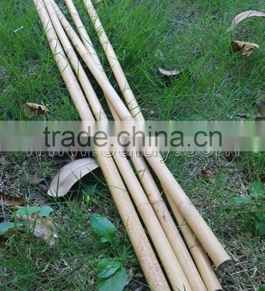 Hollow Guadua Bamboo Poles Can be Split photo-4