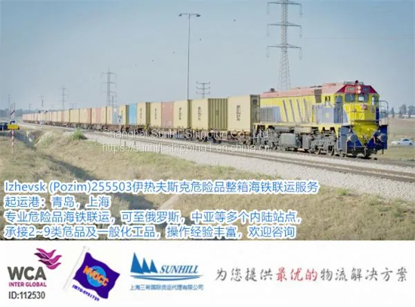 Shanghai to Pozim 255503 Izhevsk Container Freight of Dangerous Cargo Sea Rail Freight photo-2