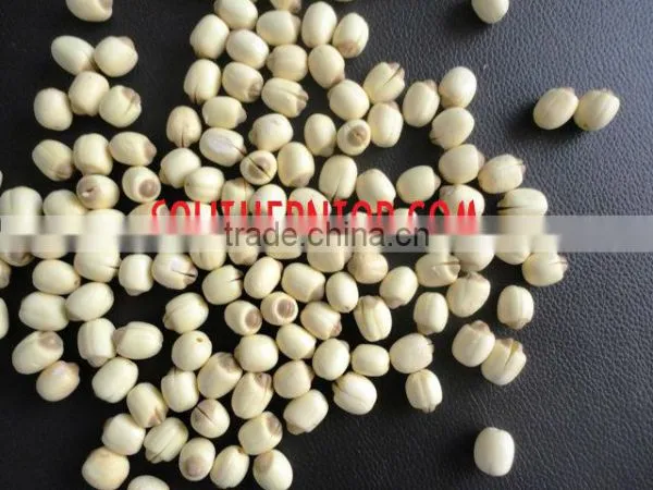 Fresh Lotus Seed