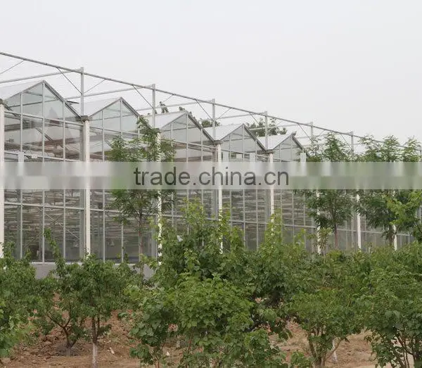 Glass Greenhouse/Agricultural Greenhouse