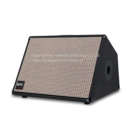 Dual 8 Inch Live Portable Speaker With Guitar Function With Mesh