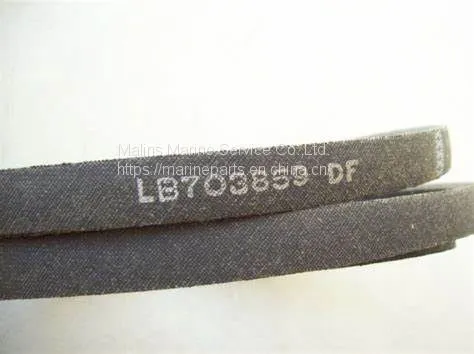 BELT MA00008979 65801BAR photo-2