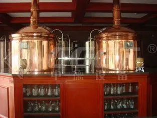 Micro Hotel Beer Factory Machine Small Scale Brewing System 1000L 3mm Thickness photo-3