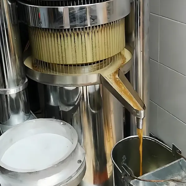 Automatic Hydraulic Walnut Oil Press Wholesale Walnut Oil Press Machine Commercial Walnut Oil Pressing Machine photo-2