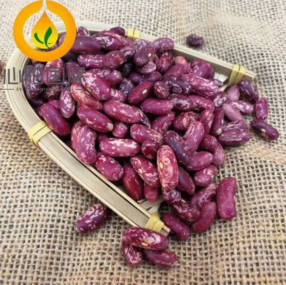 New Crop Organic Dark Red Kidney Beans photo-2